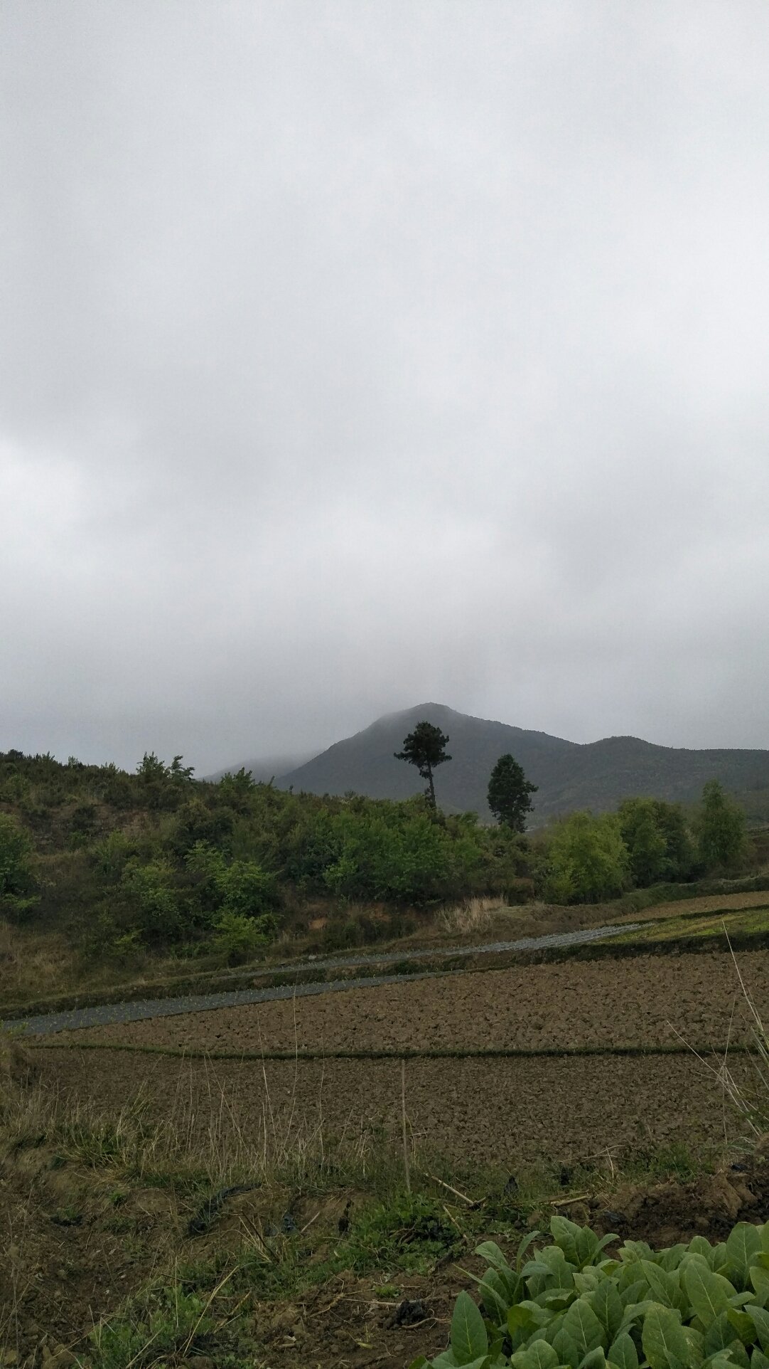 道角村天气预报更新通知