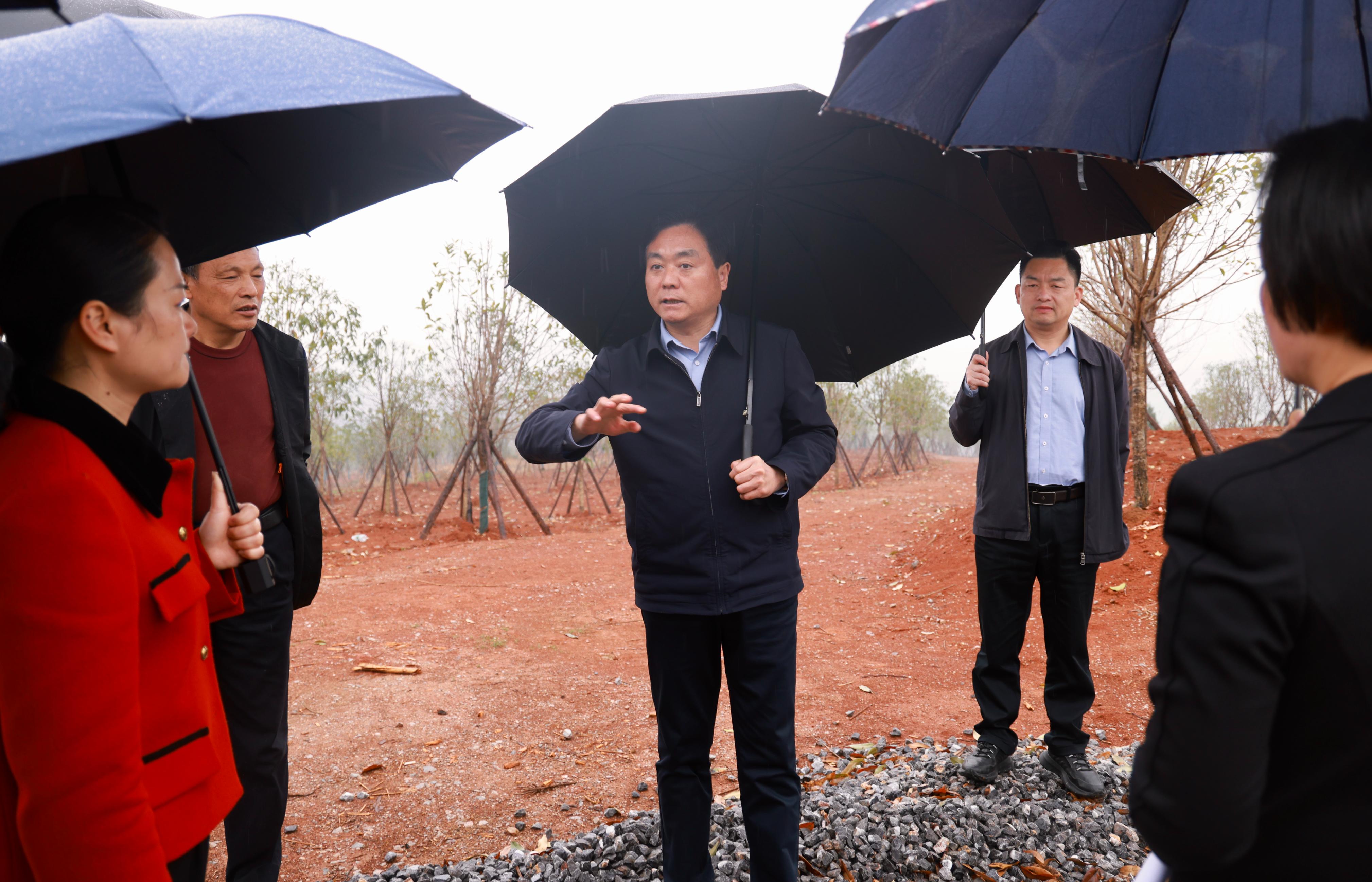 幸福镇未来蓝图，最新发展规划引领理想城镇塑造