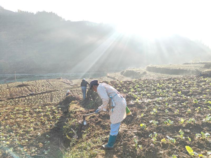 岔口镇最新新闻动态报道