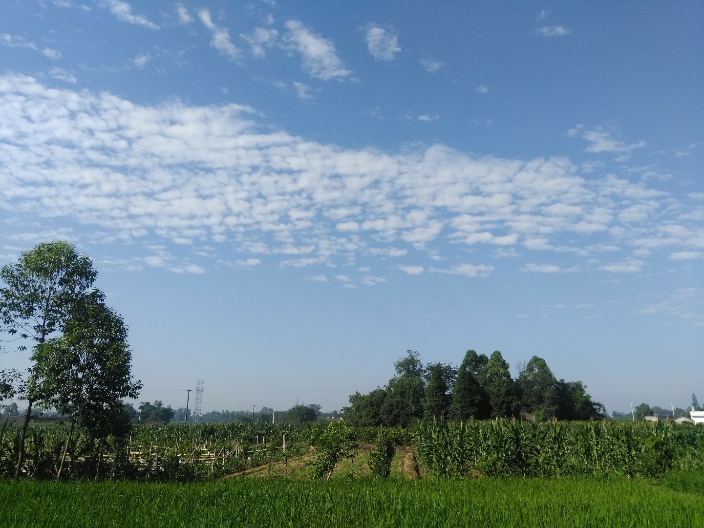 绥阳镇天气预报更新通知